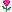 kwiat